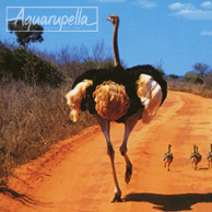 Ostriches