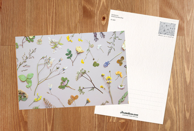 Herbarium