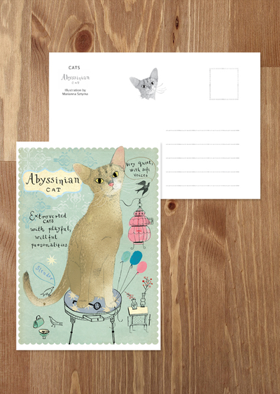 Abyssinian cat