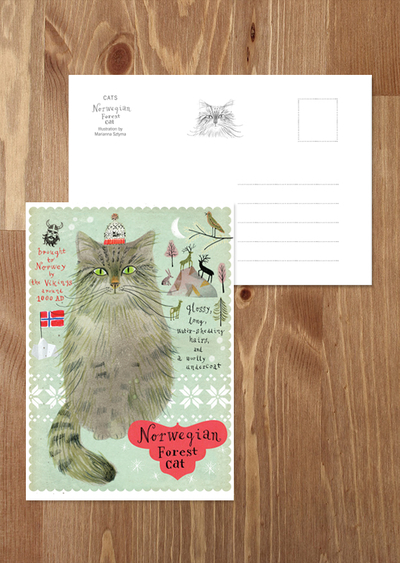 Norwegian Forest cat