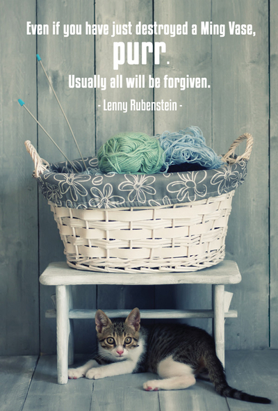 Quote 'Even if you have just destroyed a Ming Vase...'