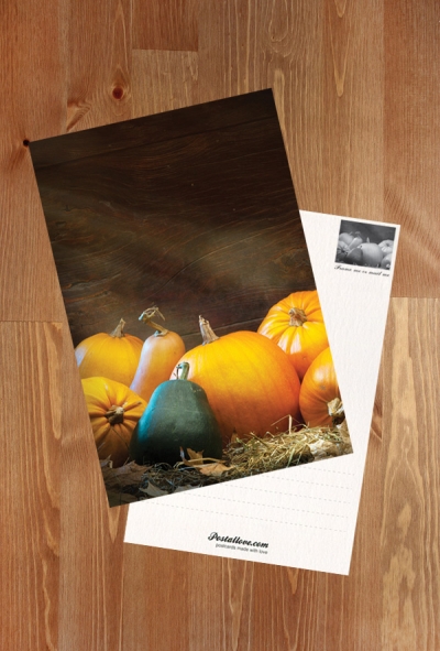 Still life with pumpkins