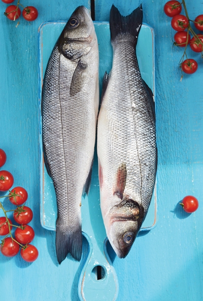 Sea bass