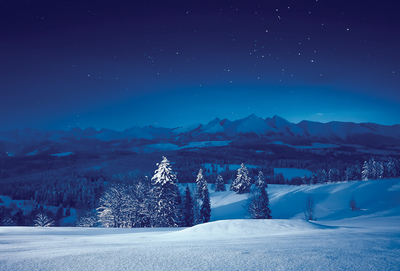 Starry winter night