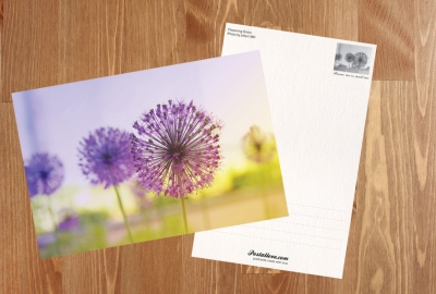Flowering Onion
