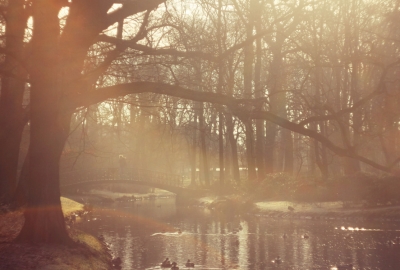 Agata Dobrzańska - Park at sunset