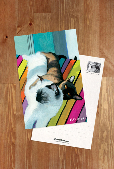 Isy Ochoa - My beloved cats
