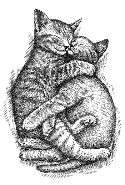 Cuddling kittens