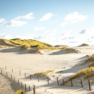 Poland - Love to be here... -  Shifting sand dunes, Slowinski National Park