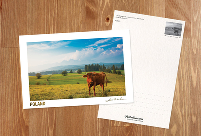 Poland - Love to be here... - Landscape with a cow, Pieniny Mountains