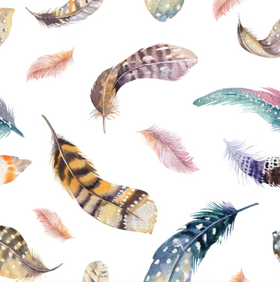 Colorful feathers