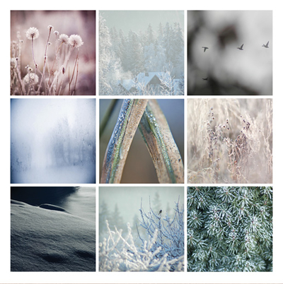 Winter mosaic