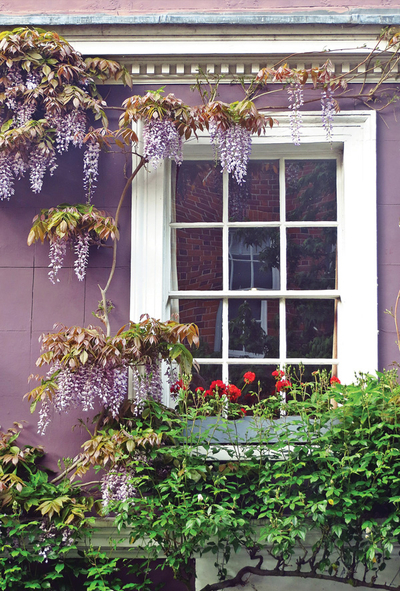 Fairy-tale house