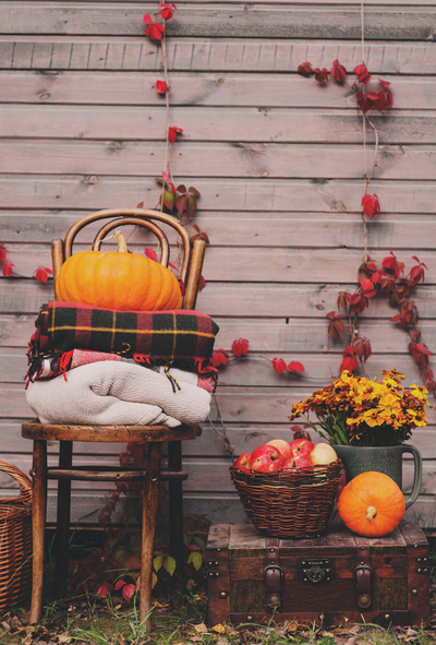 Autumn decor