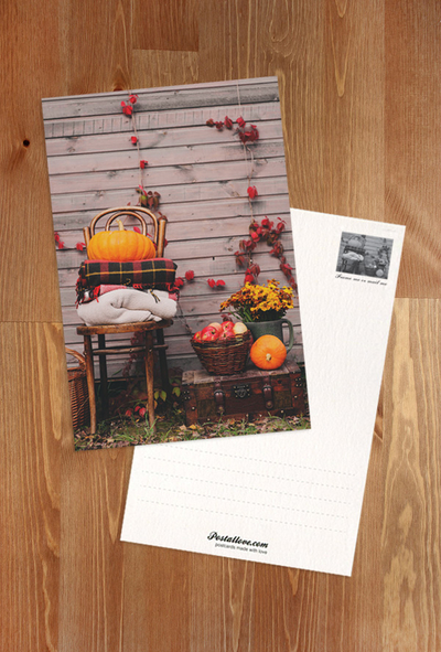 Autumn decor