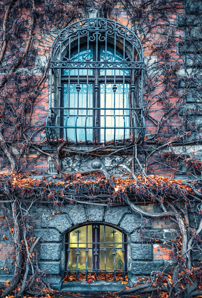 Autumn walls of the Wroclaw National Museum 