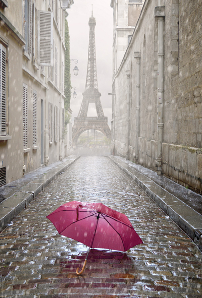 Paris umbrella