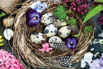 Speckled eggs