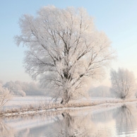 Winter landscape